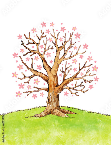 桜の木　背景なし