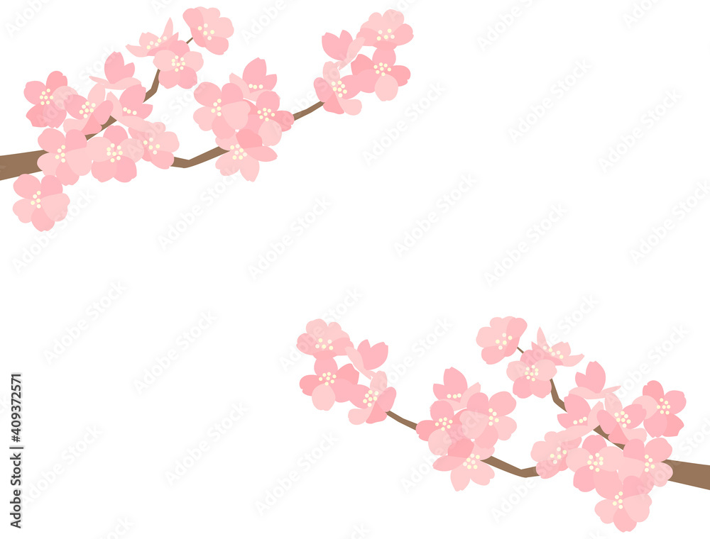 さくら96　桜
