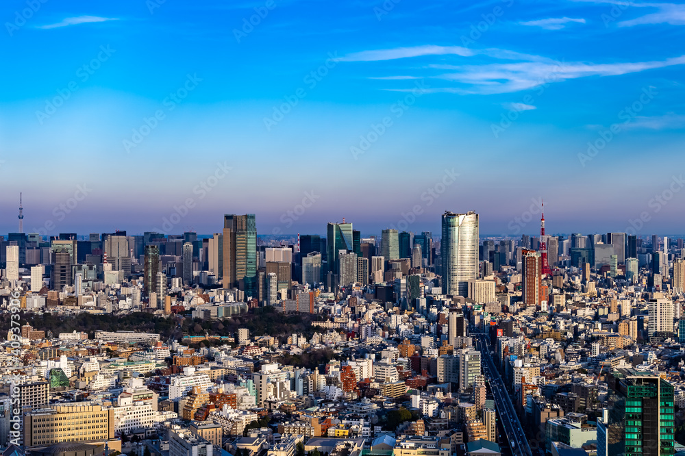 東京都渋谷区から見た東京の都市景観