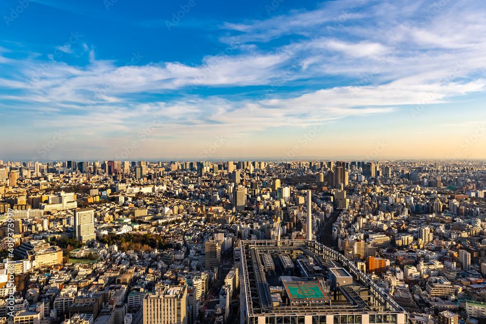 Obraz premium 東京都渋谷区から見た東京の都市景観