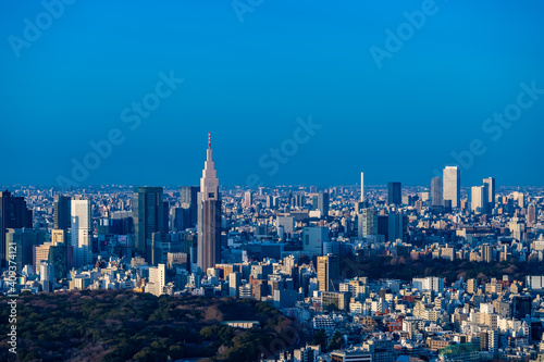 東京都渋谷区から見た東京の都市景観 © zu_kuni