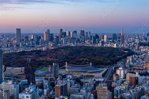 Fototapeta Naklejka Na Ścianę i Meble -  東京都渋谷区から見た東京の都市景観