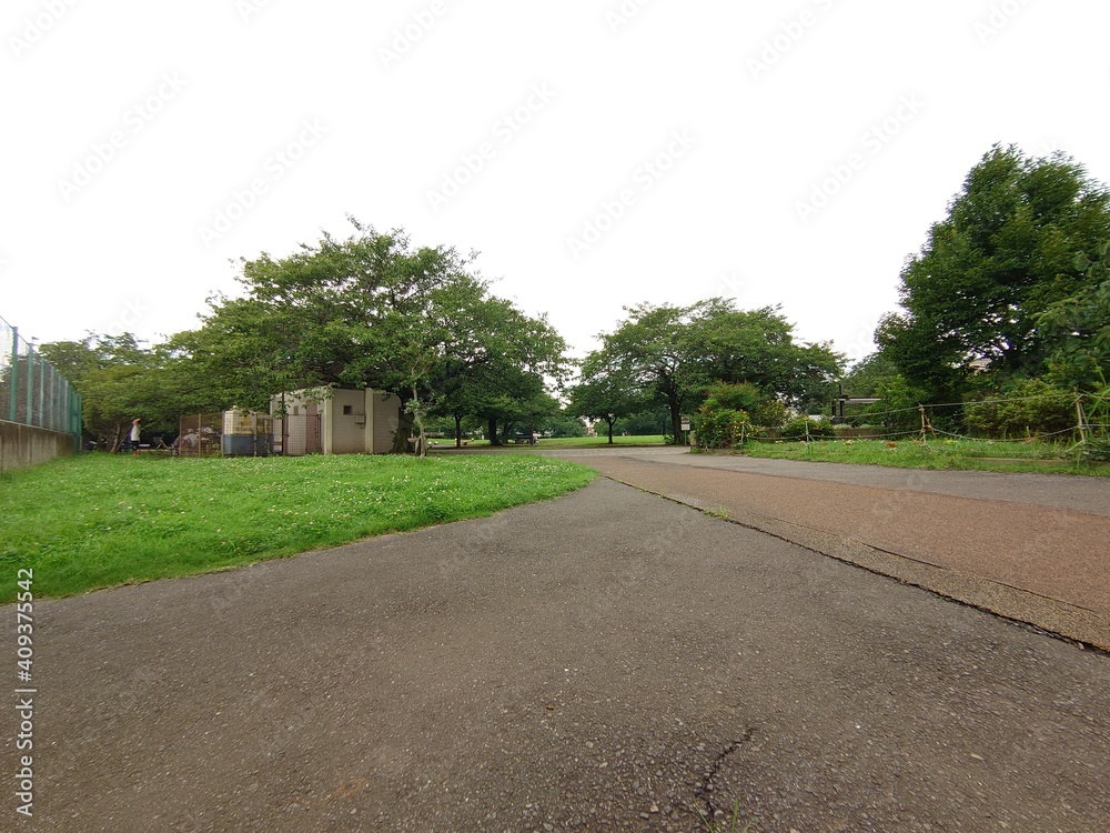 広場公園 広場公園
