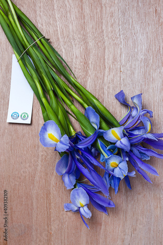 Blue lilies flower background with copy space