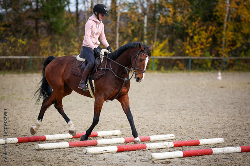 Horse With rider working on the ground with trot poles..