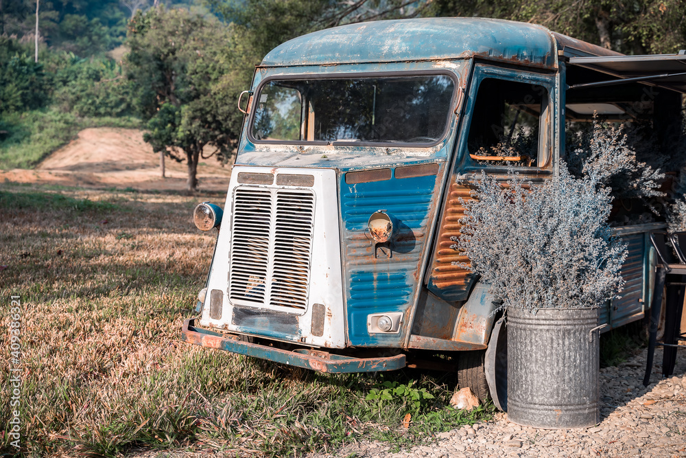 American old car in garden