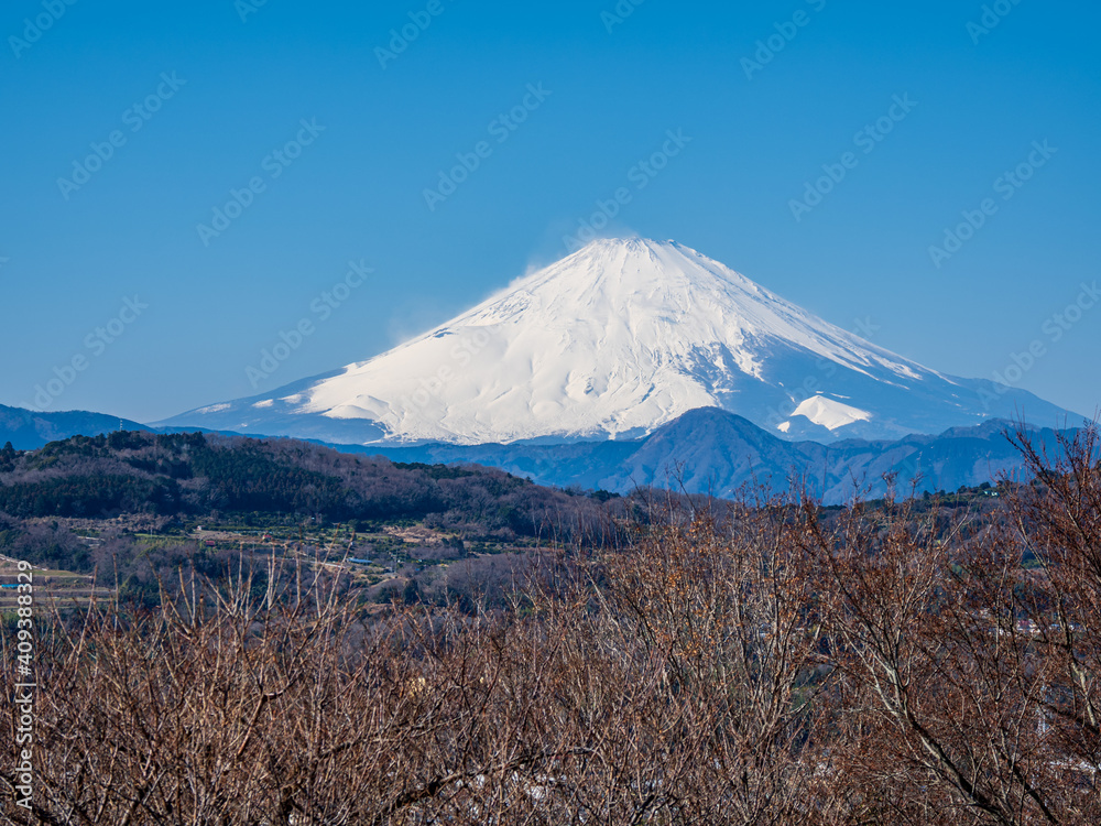 早春の青空　吾妻山公園からの富士山　1月