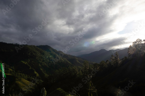  trees, sky, clouds, mountain, night