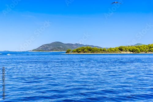 Adriatic coast of island with green pines, Mediterranean Sea, Croatia, Dalmatia
