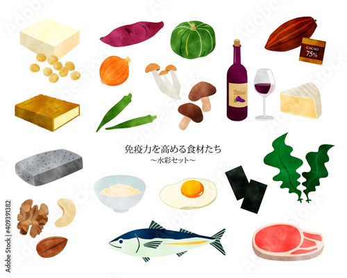 免疫力を高める食材たち／健康／水彩セット