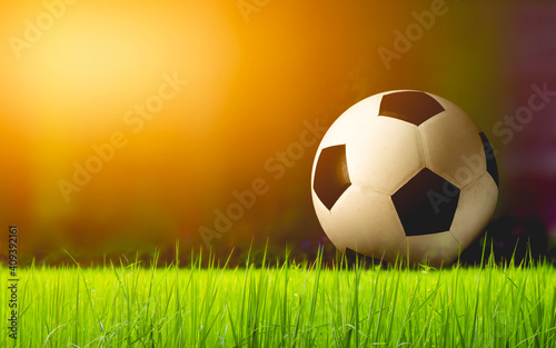 A football ball on the green lawn © teerapon