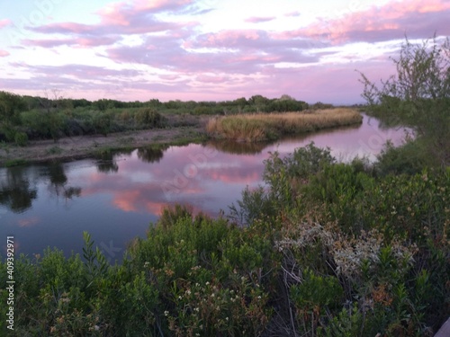 sunset on the Colorado River.  Yuma, Arizona 