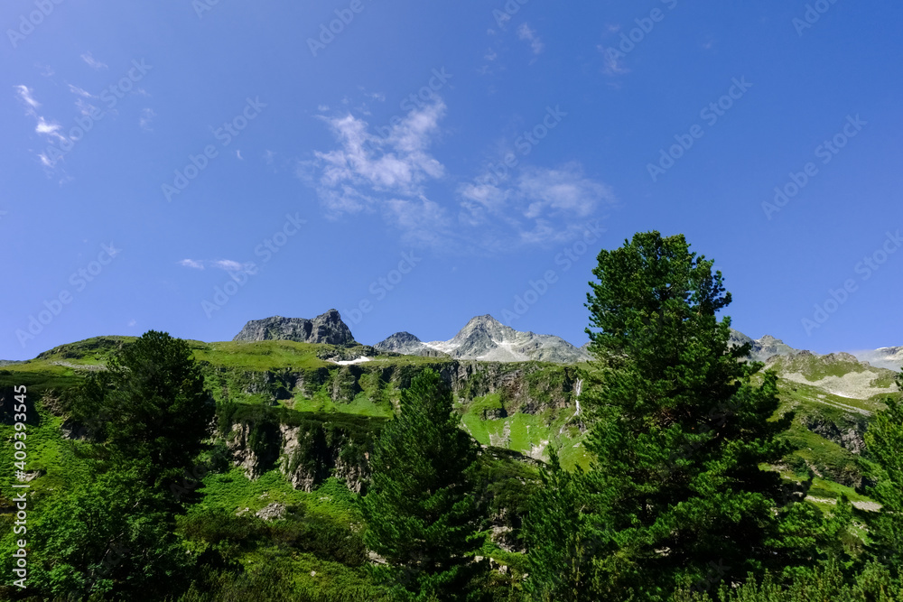 high green trees in the mountains with blue sky