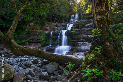 The Liffey's Falls in Tasmania, Australia