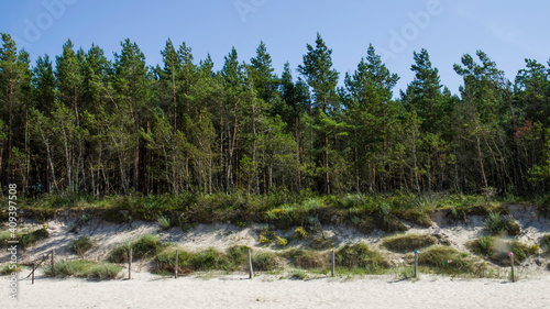 Fototapeta Naklejka Na Ścianę i Meble -  Wydmy nad Bałtykiem