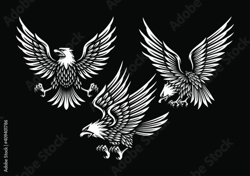 set of eagle illustration in black background.