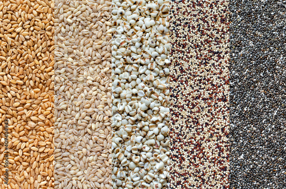Collection of orgainc cereal and grain seed stripe consisted of wheat, barley, job's tear, quinoa, and chia Collection of orgainc cereal and grain seed stripe consisted of wheat, barley, job's tear, quinoa, and chia