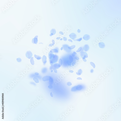 Dark blue flower petals falling down. Precious rom