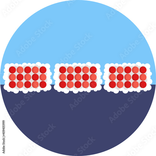 Japanese food icon.  Sushi icon. Vector illustration. 