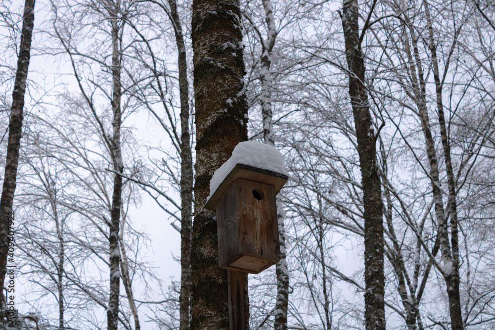 Wooden birdhouse on a tree