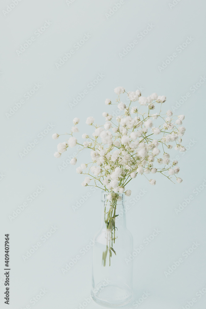 white bouquet in a transparent vase on a blue background