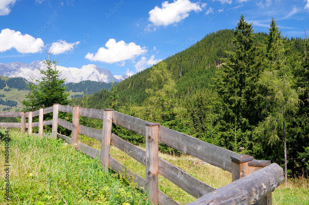 Bewaldete Berge unter blauem Himmel  mit Bretterzaun im Vordergrund und Hochgebirge im Hintergrund