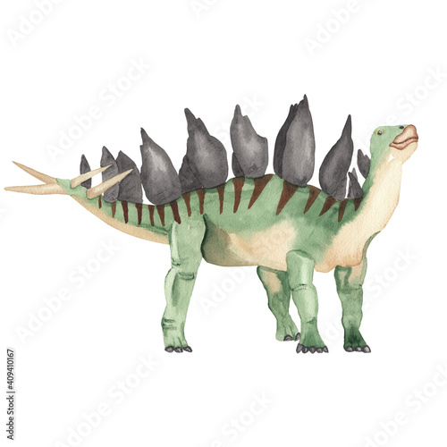 Watercolor dinosaur illustration. Stegosaurus. Cute dino High resolution hand painted artwork.  Watercolor animal isolated on white Baby shower, nursery, kids, card, invitation. © Liudmila