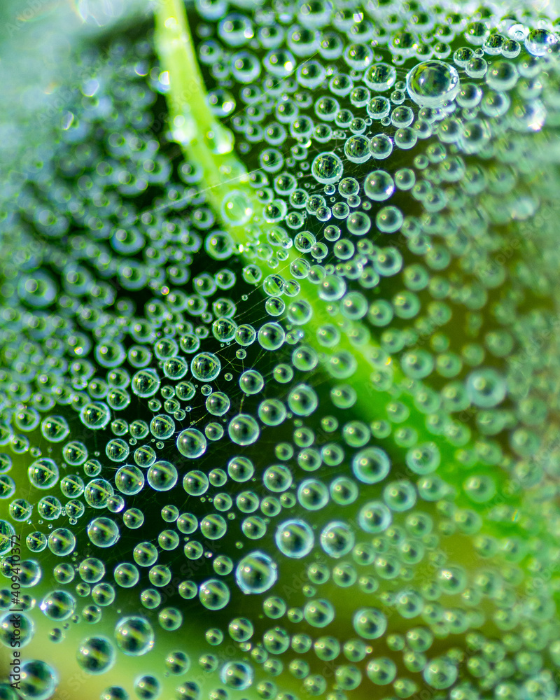 water drops on green leaf water drops on green leaf