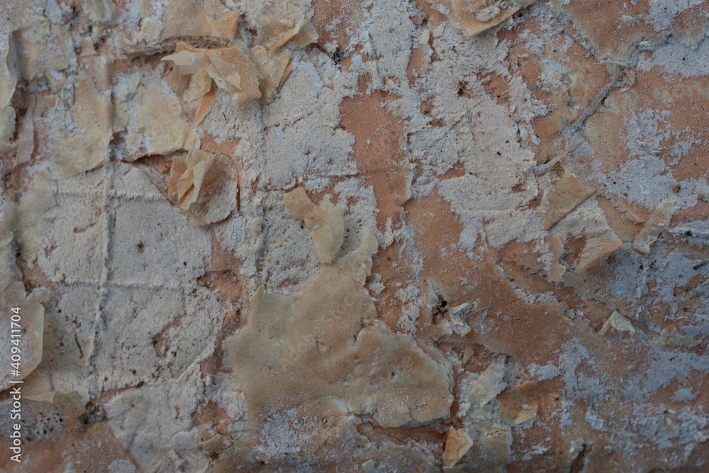 Fototapeta premium Paper bark tree texture