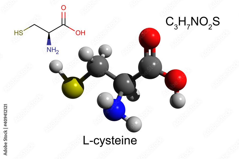 Chemical formula, structural formula and 3D ball-and-stick model of L-cysteine, a nonessential amino acid, white background Chemical formula, structural formula and 3D ball-and-stick model of L-cysteine, a nonessential amino acid, white background