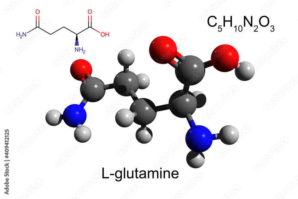 Chemical formula, skeletal formula and 3D ball-and-stick model of L-glutamine, a nonessential amino acid, white background