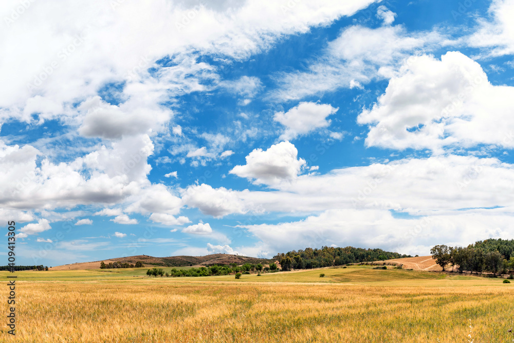 Paesaggio di campagna nel sud Sardegna, Italia, Europa