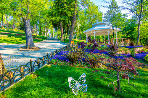 Emirgan wood at spring time in Istanbul photo