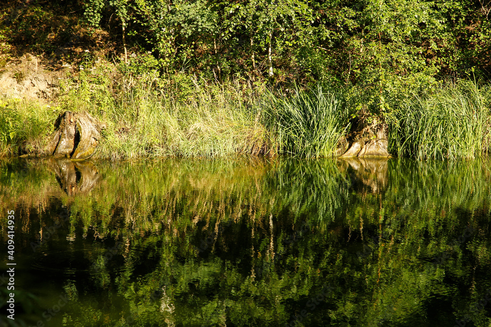 lake lake
