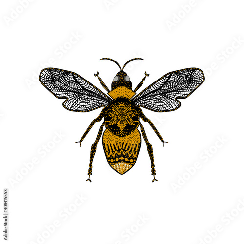 Realistic, decorated and stylish black and yellow bee