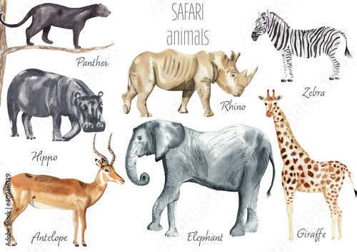 Canvas Print Watercolor safari animals Jungle animals Elephant, rhino, zebra, antelope, panth