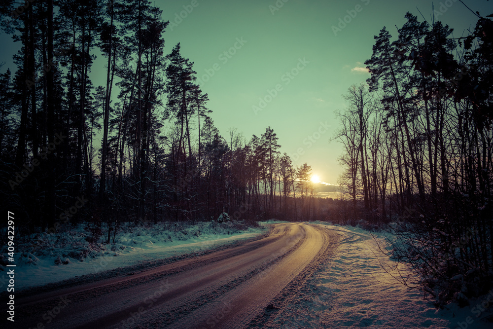 road on sunset in the forest