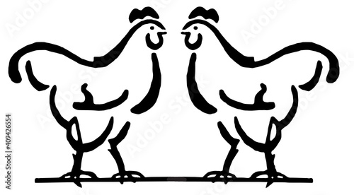 Two broilers. Illustration black and white