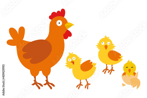 Mother hen with chicks. Hen and chickens. Vector illustration isolated on white background