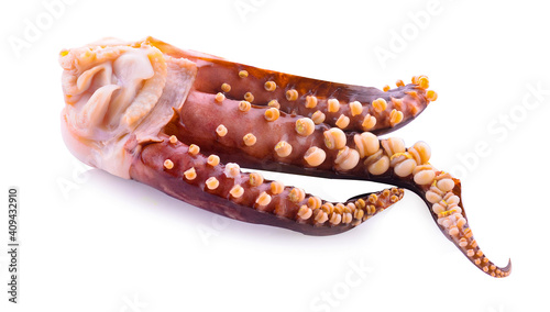 Squid tentacles isolated on white background.