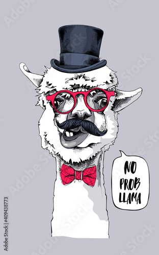 Funny poster. Alpaca with a mustaches in a gentleman top hat, bow-tie and in a glasses. No prob llama! - lettering quote. Humor card, t-shirt composition, hand drawn style print. Vector illustration.