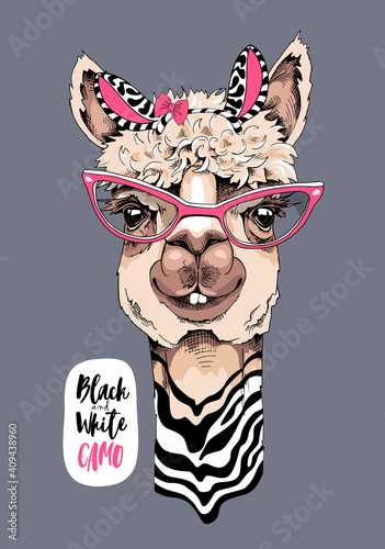 Funny poster. Cute Llama in a striped zebra mask, and in a pink glasses. Black and White camo - lettering quote. Humor card, t-shirt composition, hand drawn style print. Vector illustration.