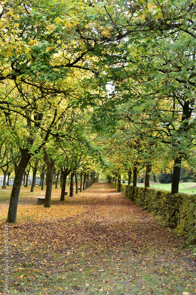 Fototapeta premium Naturfotografie in Hessen