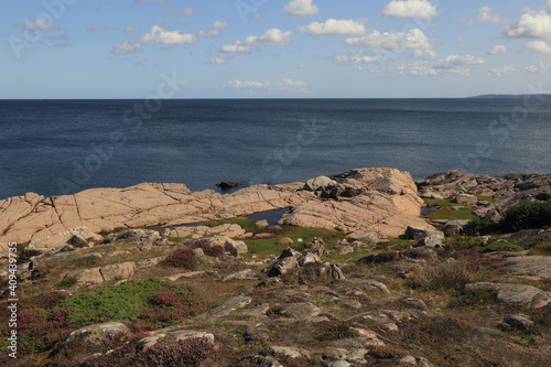 Wallpaper Mural coast on the island of Bornholm in the Baltic Sea, traveling around Europe, Holidays on the island, amazing places in Europe Torontodigital.ca