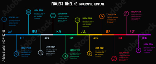 Project Timeline & Milestones Infographics, 12 months plan	 photo
