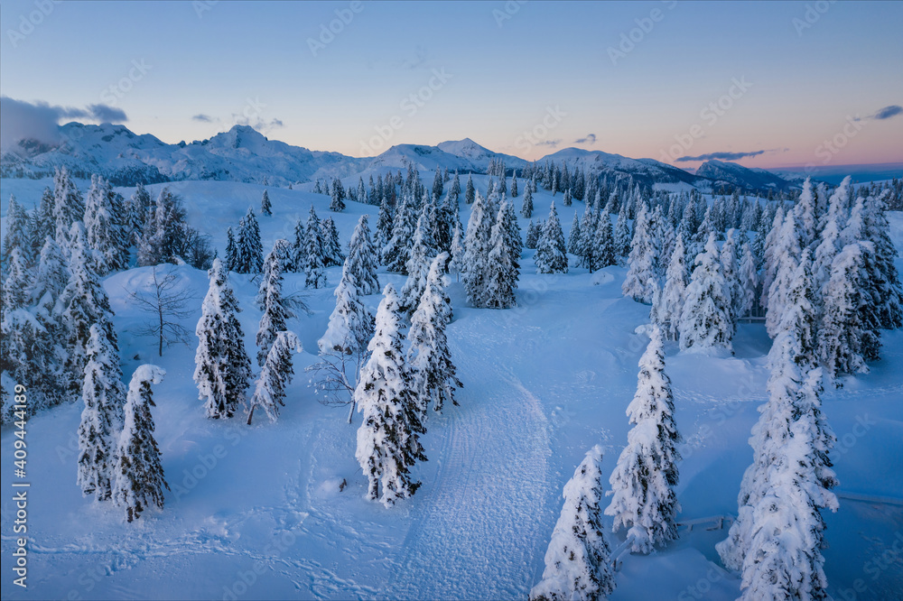 Aerial view of winter landscape with snow covered spruce forest in the mountains with beautiful sun light. Aerial view of winter landscape with snow covered spruce forest in the mountains with beautiful sun light.