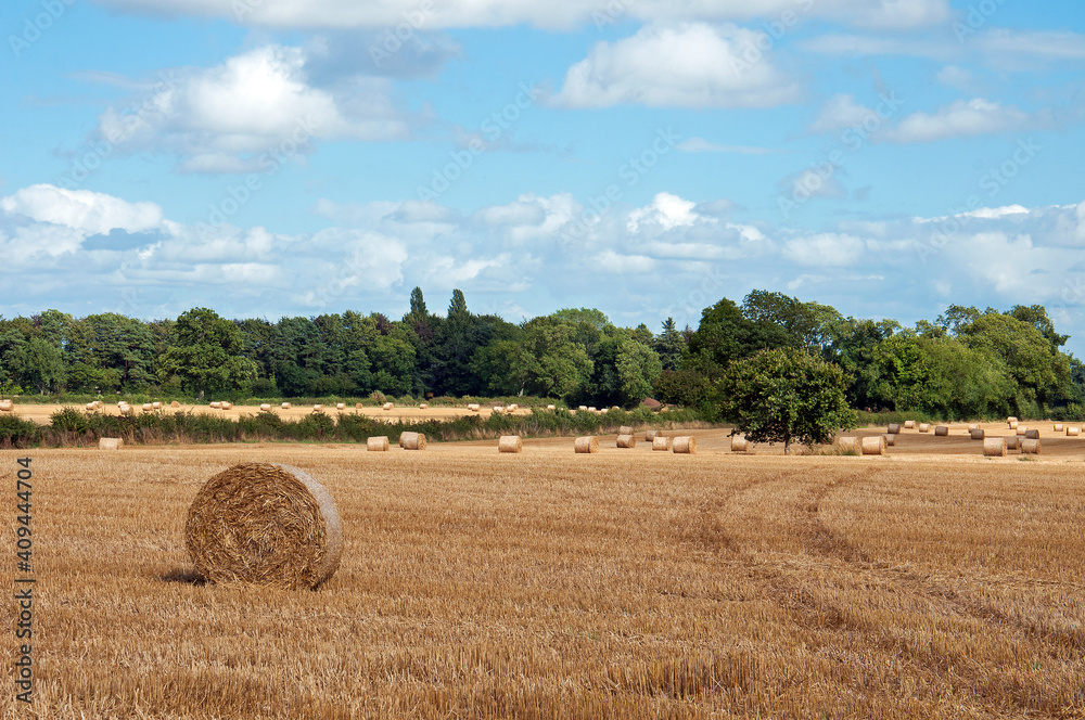 Autumn hay bales in a field