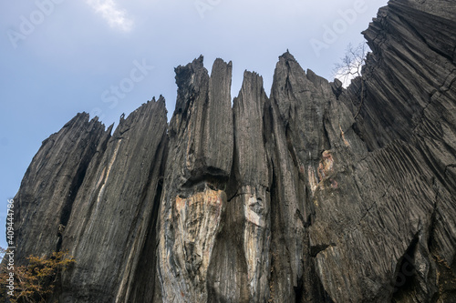 Panoramic view of massive and unusual karst rock outcrop known as Bhairaveshwara Shikhara located in Yana, Karnataka, India photo