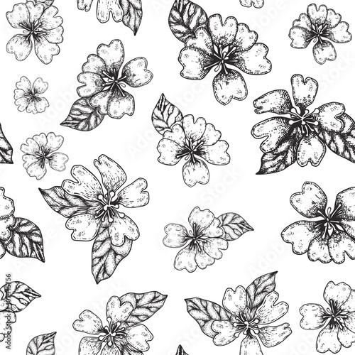 Hand drawing of a pear flower. Vintage floral line art seamless pattern.