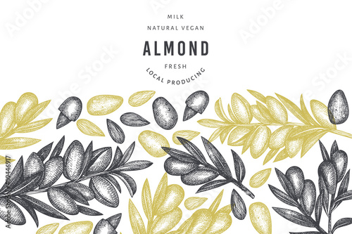 Hand drawn sketch almond design template. Organic food vector illustration. Retro nut illustration. Engraved style botanical background.